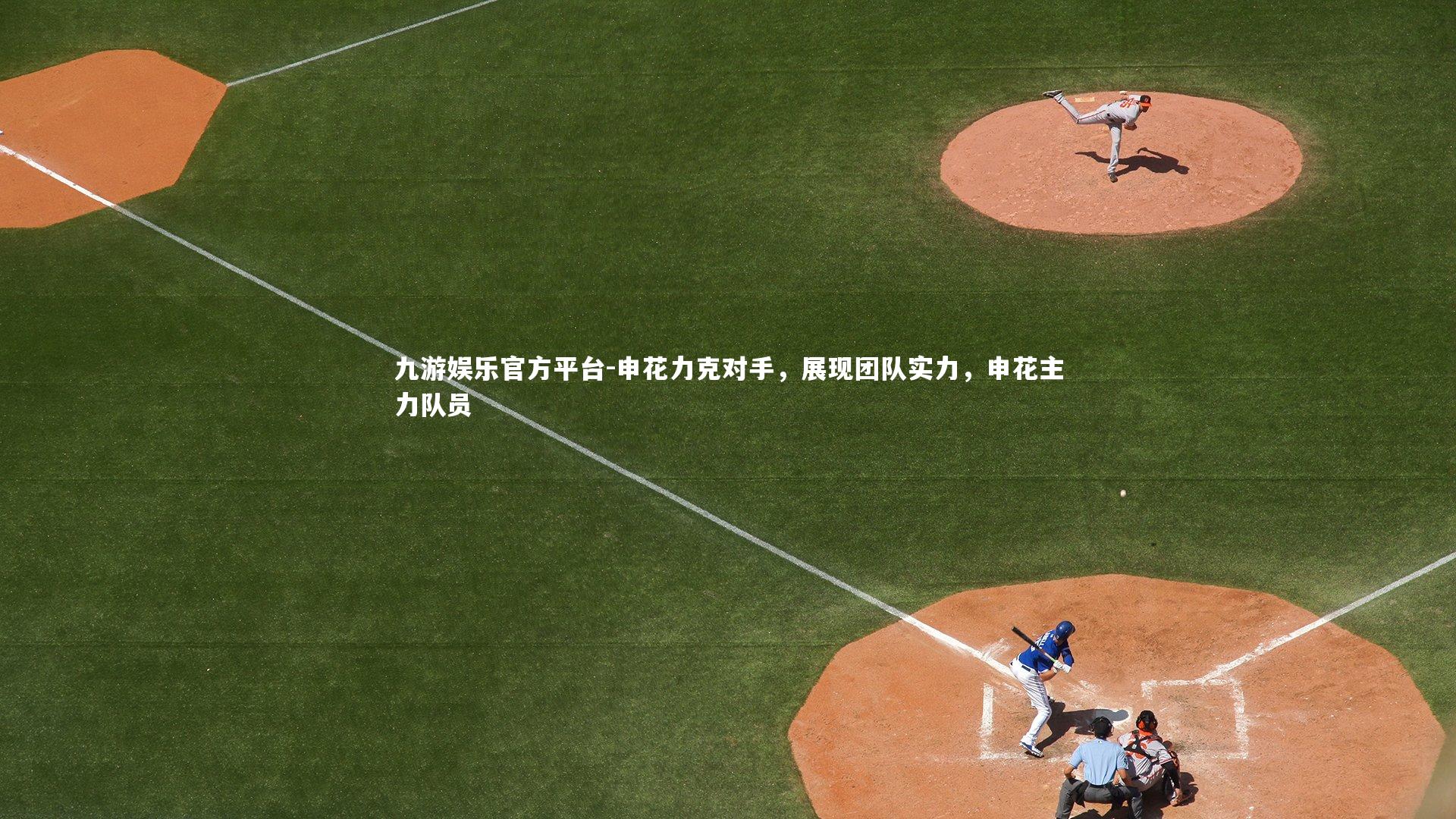 申花力克对手，展现团队实力，申花主力队员