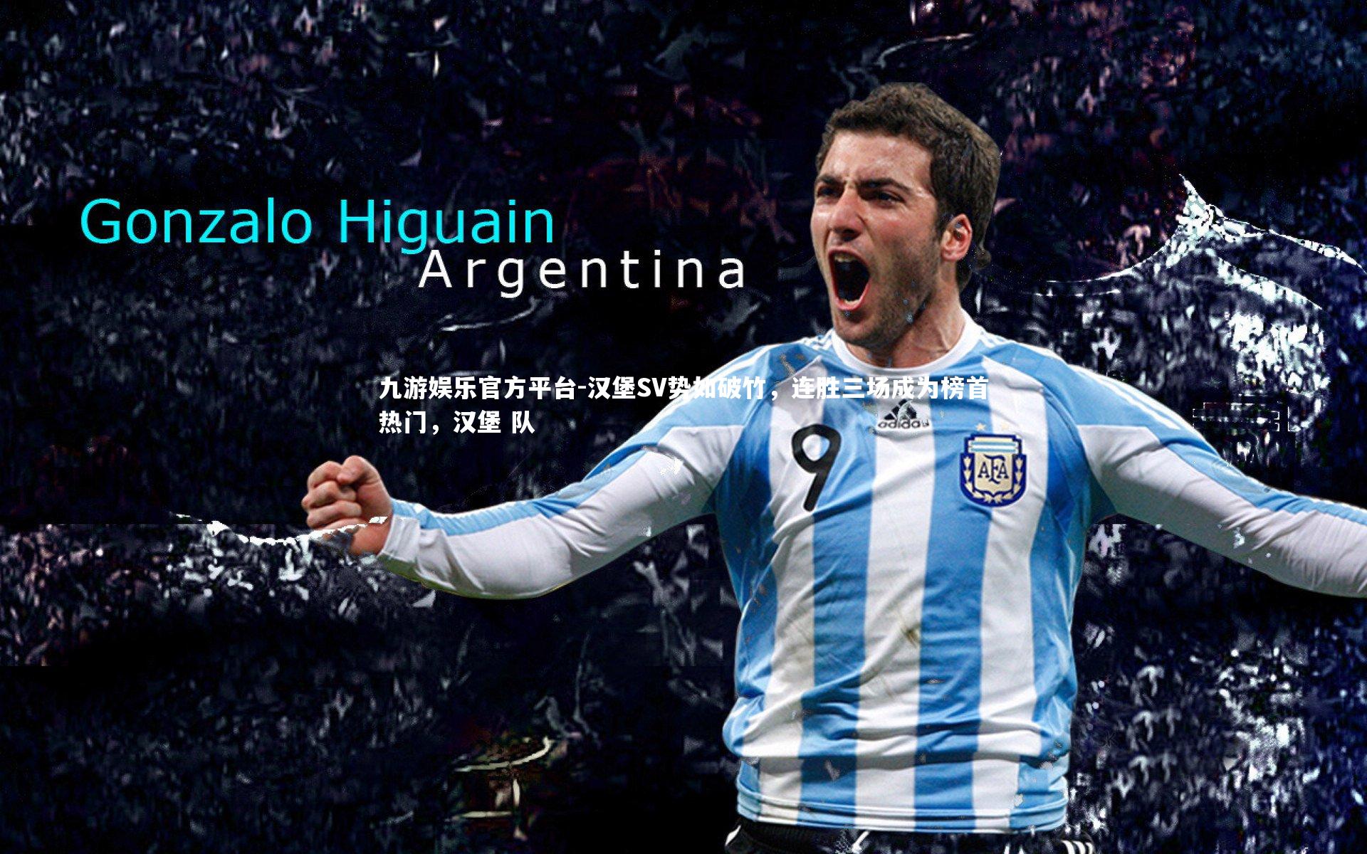 汉堡SV势如破竹,连胜三场成为榜首热门,汉堡 队