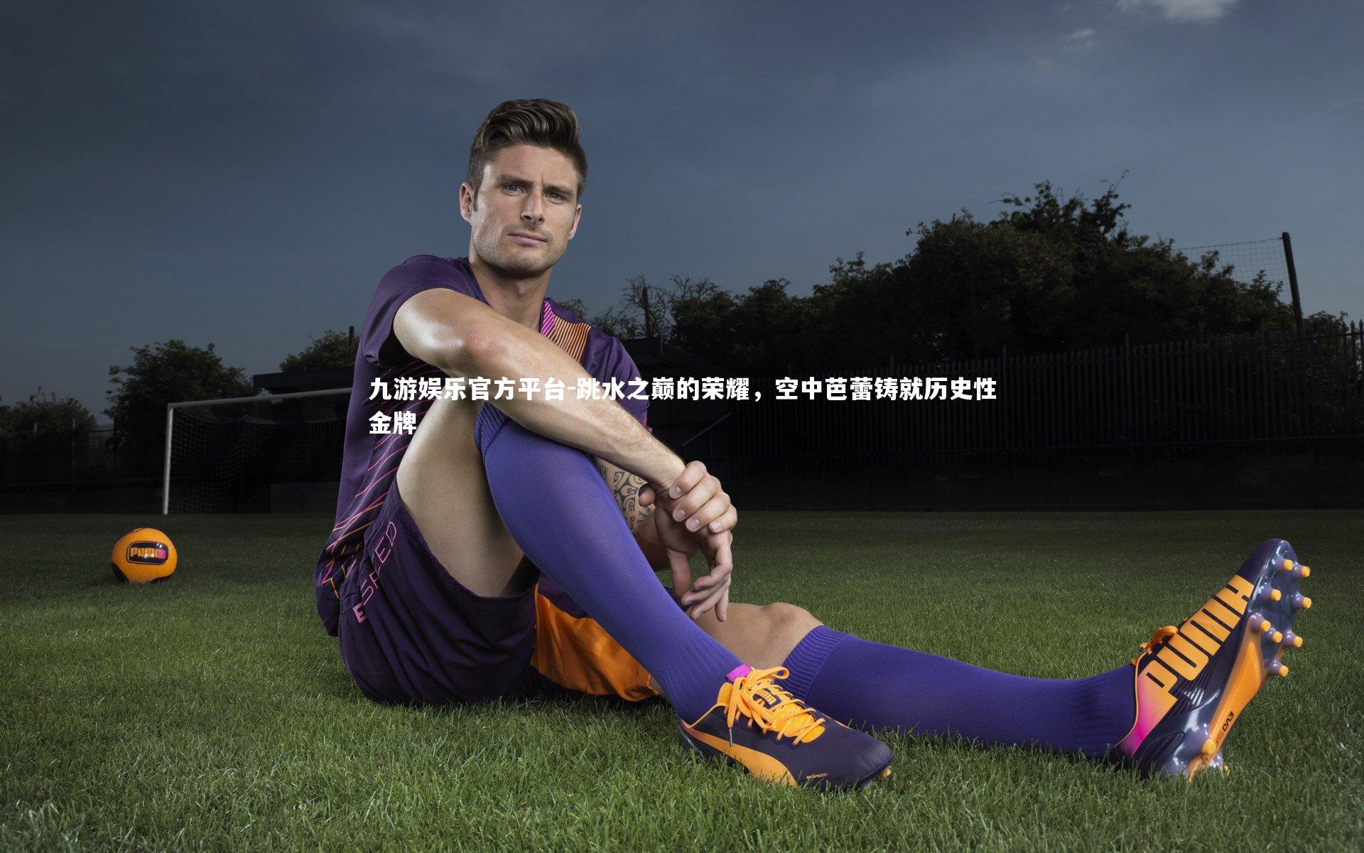 跳水之巅的荣耀,空中芭蕾铸就历史性金牌